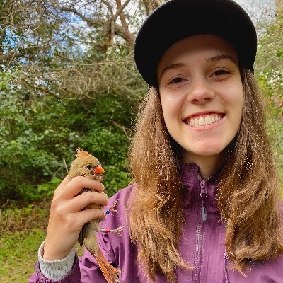 anne_marie_bio's profile picture. MSc student at McGill University currently studying how the Northern Cardinal is moving/surviving across urban green spaces during the winter season.
She/her