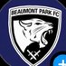 Beaumont Park Ladies FC (@BP_LADIES_FC) Twitter profile photo