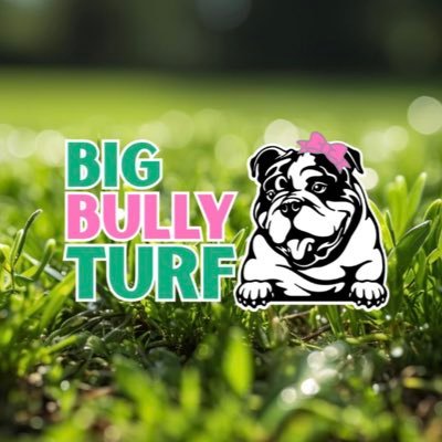 bigbullyturf's profile picture. 