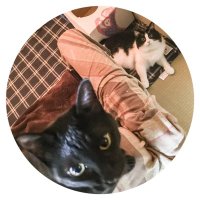 ゆるキャラ🌗 (@nyanky_patti) 's Twitter Profile Photo