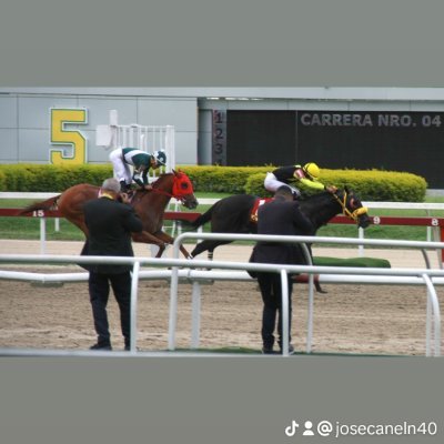 El tiempo de Dios es perfecto y maravilloso🙏... 
Hípico de corazón🏇.