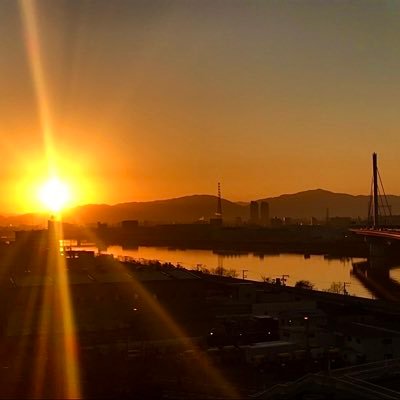 piepi01's profile picture. #阪神ファン #第5人格