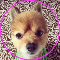こころ (@coco_958714) 's Twitter Profile
