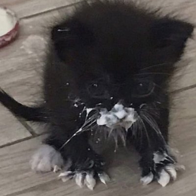 artour_ka's profile picture. 