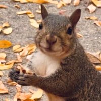 Xiaolin Liu (@xiaolin_chem) 's Twitter Profile