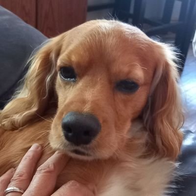 kaikai5003's profile picture. 