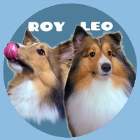 Leo＆Roy's Diary🐾(@Sheltie_Leo1107) 's Twitter Profile Photo