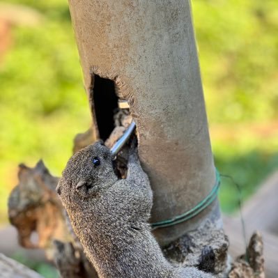 0CVeQs's profile picture. 