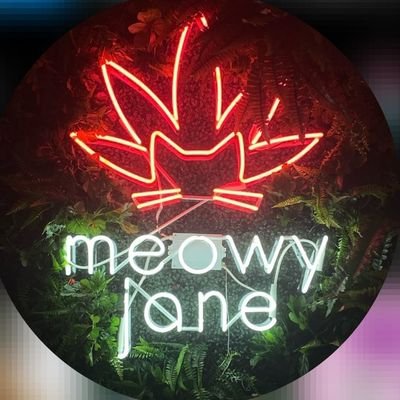 meowyjane_buds's profile picture. I like cats and weed
Led grown /VYPRX plus 💡