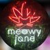 Jane buds (@meowyjane_buds) Twitter profile photo