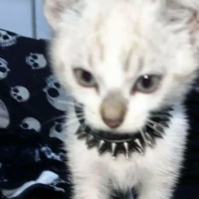httperror2000's profile picture. 