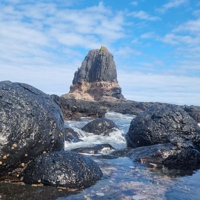 TWittayachar's profile picture. 