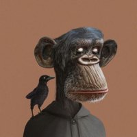 Crypto Ape 🦍 (@dogewbs) 's Twitter Profile