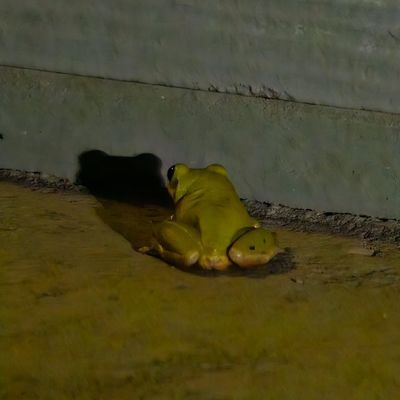mattmatta131's profile picture. 