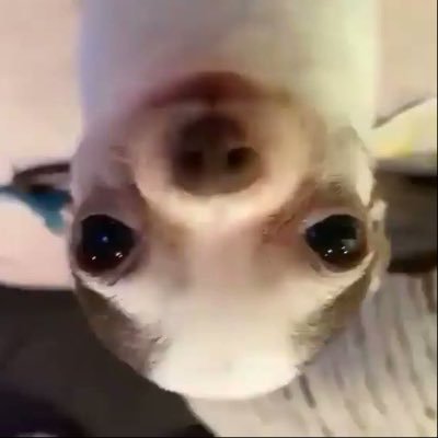 soggyseashell's profile picture. pronounced too emaciated for weight watchers and too dour to experience joy