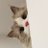 happyhwa98's profile image