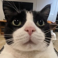 computerow (@computerow) 's Twitter Profile