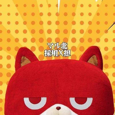 kitasaiyou's profile picture. 【採用公式】✨「にゃんまるさん」「マル担さん」呼び名はお任せ😸投稿者は年齢性別不詳😁日常中心に仕事もたまにつぶやきます│#マルハン #パチンコ #就活 #26卒 #27卒 #企業公式相互フォロー #無言フォロー歓迎  │※公序良俗違反はフォローしません