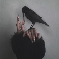 ꪶꫀ᥊ 🖤 (@limitlessbaddie) 's Twitter Profile