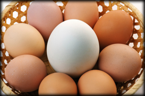 vassarii's profile picture. Hice un cursillo de lectura rápida y lei Guerra y Paz en veinte minutos. Va de algo que pasa en Rusia