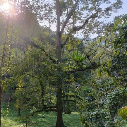 arrianjaya's profile picture. ENFJ - T |
Kalau minat 🚗 main la 🚗. 
Kalau minat 🛵 main la 🛵.
Kalau minat aku, bagi tau. nanti kite main