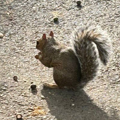 pinkpeppy's profile picture. 