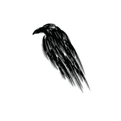 The_Crow_US Profile Picture