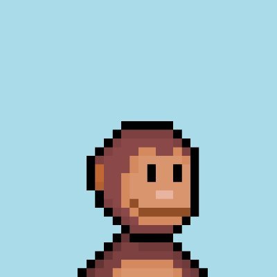 5555 monkeyz just chilling and vibing on the Ethereum blockchain 🐒
❌ No discord, no utility, no bs
🌊 Just a cool FREE pfp collection
ooh-ooh aah-aah