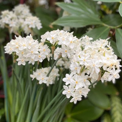 tokki3987's profile picture. 22 female