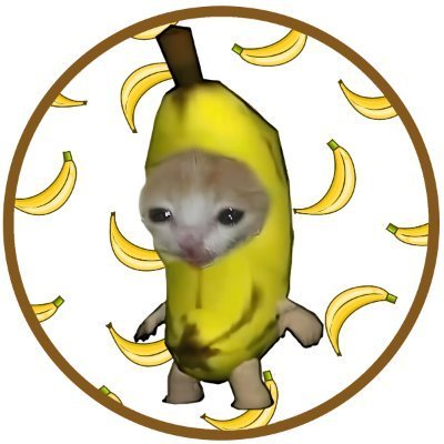 $BCAT. The world's most famous cat in a banana suit. 🍌😸