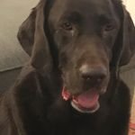 JxgANISE's profile picture. cool_nanie