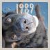 Margaret (@grannymadge25) Twitter profile photo Margaret (@grannymadge25) Twitter profile photo