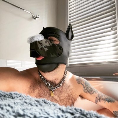 All around happy pup 🐶 | 37 | bondage and gear enthusiast🪢 | slut | switch | love attention | love giving attention | 🏡 Atlanta, Ga and San Francisco, Ca