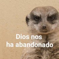 Juan (@juan_tweek) 's Twitter Profile