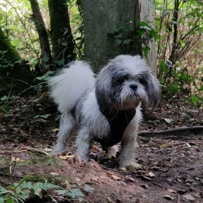 KateJane1988's profile picture. 