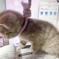 زبيبة ثروت (@nouranmousaa) Twitter profile photo