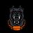 THE PITBULL-CRYPTO🦴 avatar