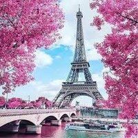 ام انس (@joody34367) 's Twitter Profile