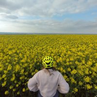 Ellie Vowles (@eleanorrosie85) 's Twitter Profile Photo Ellie Vowles (@eleanorrosie85) 's Twitter Profile Photo
