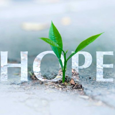 MimirabieM's profile picture. 