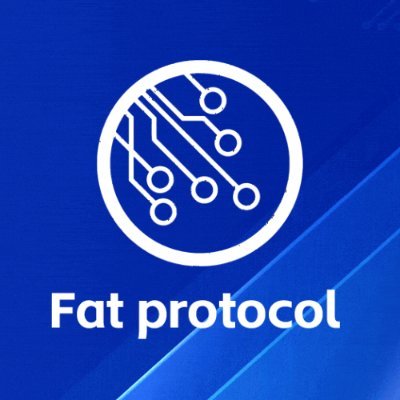 胖协议Fat Protocol