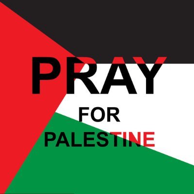 We Stand with Palestine People, We need more voice
