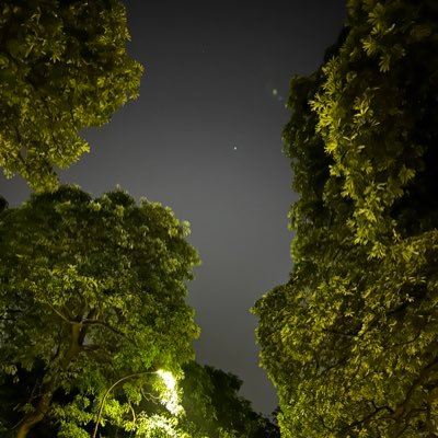 indianrepresent's profile picture. 