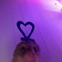 emz🧸 (@hvzelsvoid) 's Twitter Profile