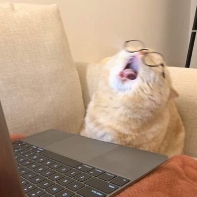 jacke_2137's profile picture. dont