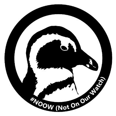 #NotOnOurWatch is a global African penguin survival campaign dedicated to saving them from extinction by 2035
#NOOW #ケープペンギン #manchotducap #pingüinos #pikkewyn