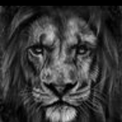 WorldBright's profile picture. Perkins Authorised Dealer,Perkins is an Engineering Company that specialised on heavy duty equipment. owed by United Kingdom