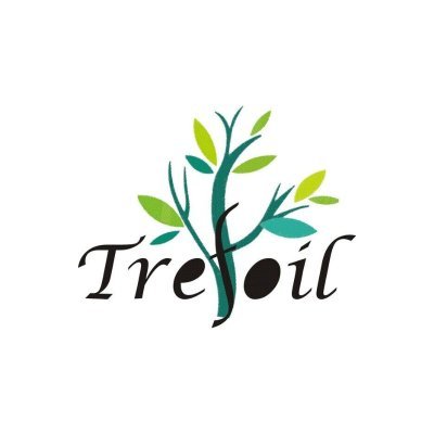 Trefoil: Pursuing Dreams and Empowering Lives.
Trefoil, a company with a vision, embodies this belief in every aspect of its existence.