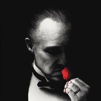 𝕯𝖔𝖓 𝕬𝖑𝖎 (@ali688980921361) Twitter profile photo