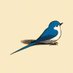 eXpensive.io (@expensive_io) Twitter profile photo eXpensive.io (@expensive_io) Twitter profile photo